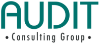 Audit Consulting Group