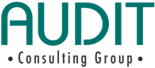 Audit Consulting Group