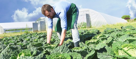 Un guide pour évaluer la pénibilité en agriculture