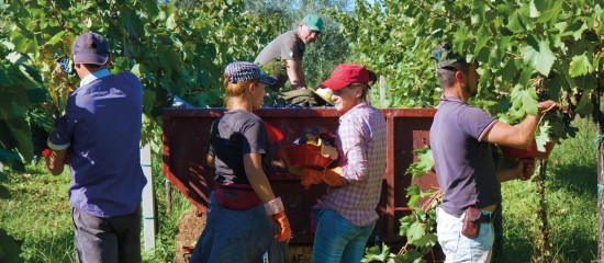 Société agricole : quels liens avec le foncier ?