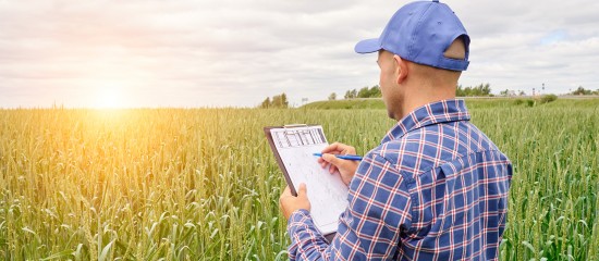 Droit de préemption de la Safer : gare aux faux démembrements de propriété !