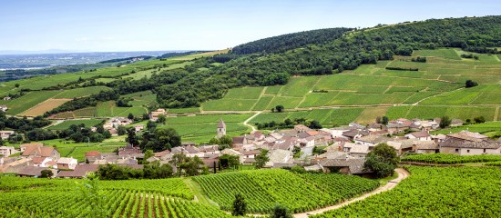 Exonération de cotisations sociales dans les zones de revitalisation rurale (ZRR)