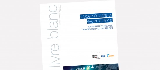 Les e-commerçants face à la cybercriminalité