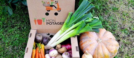 Monpotager.com : dans la peau d’un jardinier