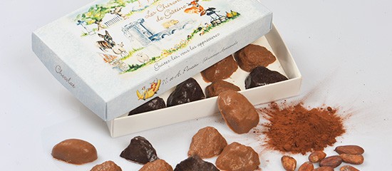 Chocadom.com : spécialités chocolatières en ligne