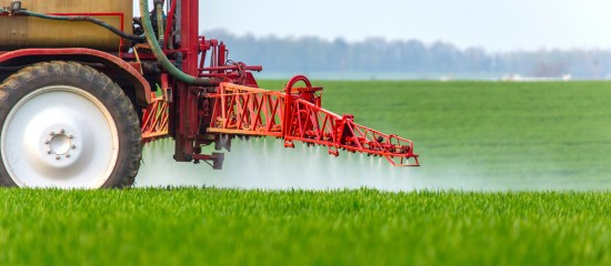 Le glyphosate autorisé pour 5 ans
