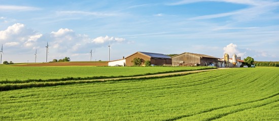 Pas de réforme du contrôle des structures !