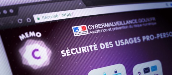 Usages pro-perso : les conseils de Cybermalvaillance.gouv.fr