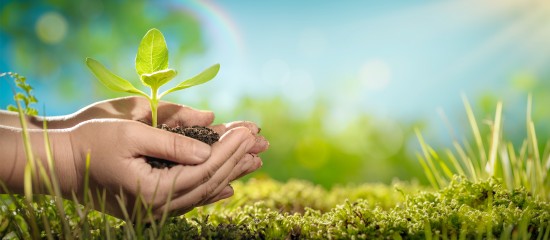 Un Pacte de croissance pour l’Économie Sociale et Solidaire !