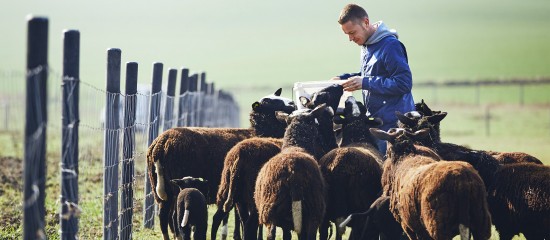 Exploitants agricoles : la prime d’activité revalorisée