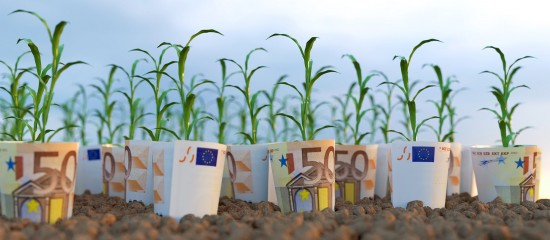 Agriculture biologique : les retards de paiement des aides bientôt rattrapés ?