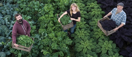 Employeurs agricoles : exonération liée au travail occasionnel ou réduction générale ?