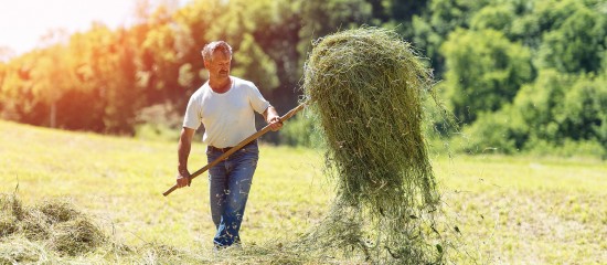 Exploitants agricoles : montant des indemnités journalières