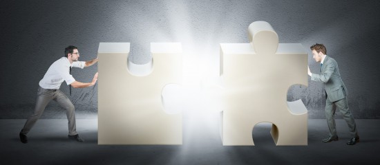 Allègement de la procédure des fusions de sociétés