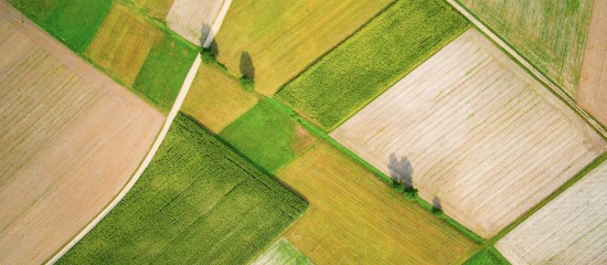 Le marché des terres agricoles en 2018