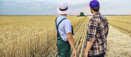 L’obligation de cotiser au régime des non-salariés agricoles