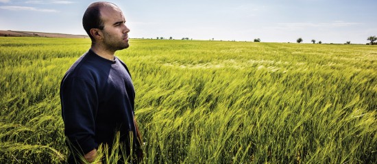 Exploitation agricole en difficulté : comment réagir ?