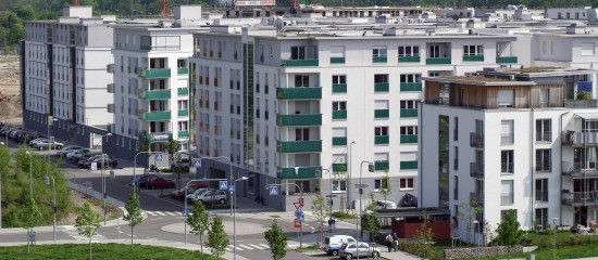 Les employeurs en ZFU doivent déclarer les mouvements de main-d’œuvre de 2019