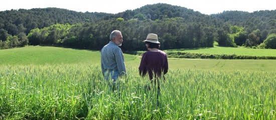 Décès d’un exploitant agricole et option pour une assiette forfaitaire de cotisations