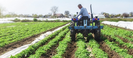 Comment régler vos dettes de cotisations auprès de la MSA ?