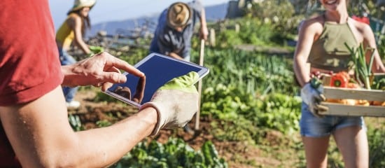 Le recensement agricole 2020 est lancé !