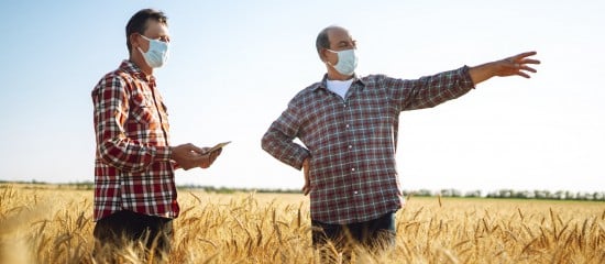Exploitants agricoles : l’allocation de remplacement est encore de mise !