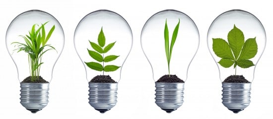 Innover à la campagne : 10 entrepreneurs récompensés
