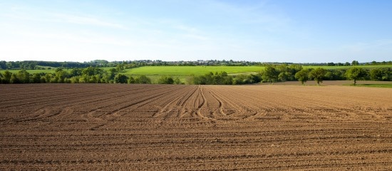 Le marché des terres agricoles en 2020