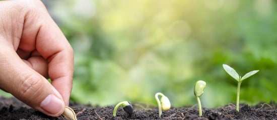 De nouvelles mesures pour accompagner les start-up de la transition écologique