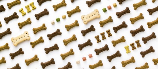 Programme Unleashed pour les start-up de la Pet Tech durable
