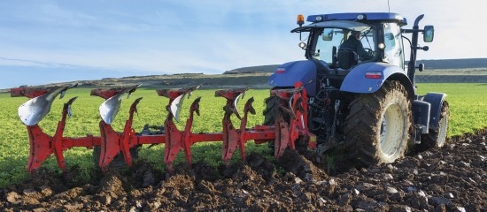 Société agricole : quels liens avec le foncier ?