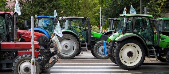 Le revenu des agriculteurs est presque 2 fois inférieur à celui des autres non-salariés