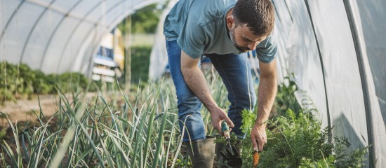 Agriculture biologique : le guichet pour percevoir une aide est ouvert