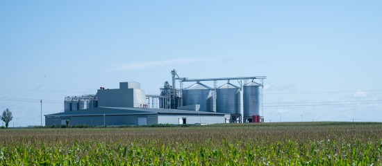 La production agricole a atteint 96,5 Md€ en 2023