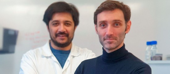 Plantibodies transforme les plantes comestibles en usines biologiques