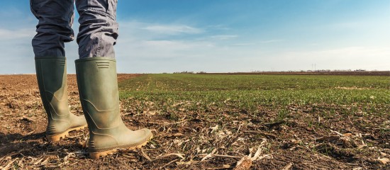 Un train de mesures fiscales pour le secteur agricole