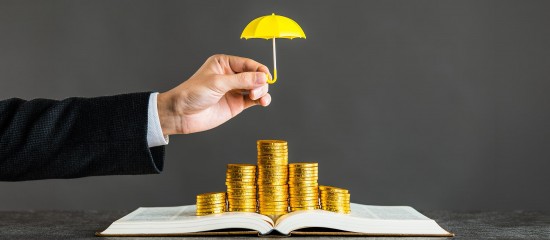 Sécurisez votre patrimoine grâce au mandat de protection future