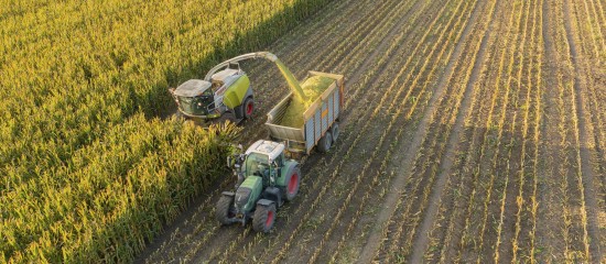 La production agricole en hausse de 4,7 % en 2025