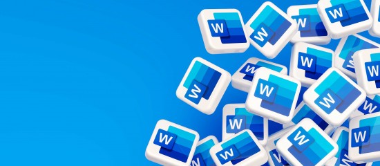 Une nouvelle fonctionnalité dans Word pour les longs documents